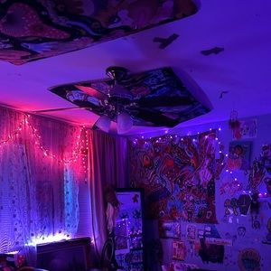 Meet your Posher, Max